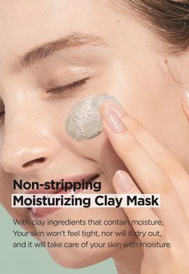 Isntree Mugwort Calming Clay Mask —  очищуюча маска з полином