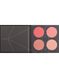 Рум'яна Zoeva Coral Spectrum blush Palette 1 з 3