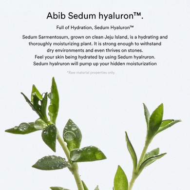 Abib Sedum Hyaluron Creme Hydrating Pot — зволожуючий крем з гіалуроновою кислотою