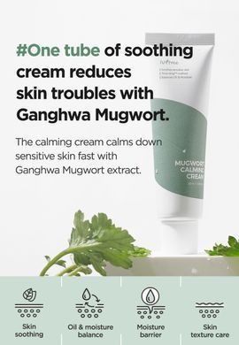 Isntree Mugwort Calming Cream &mdash; крем для чутливої шкіри з екстрактом полину