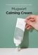 Isntree Mugwort Calming Cream — крем для чутливої шкіри з екстрактом полину 3 з 5