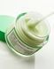 FULLY Green Tomato Cream &ndash; балансуючий гель-крем із зеленим томатом 3 з 4