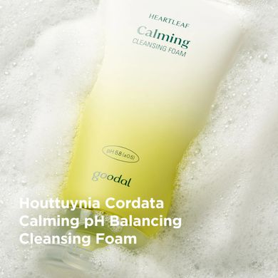 Goodal Houttuynia Cordata Calming pH Balancing Cleansing Foam – балансуюча пінка для вмивання з хауттюйнією серцевидною
