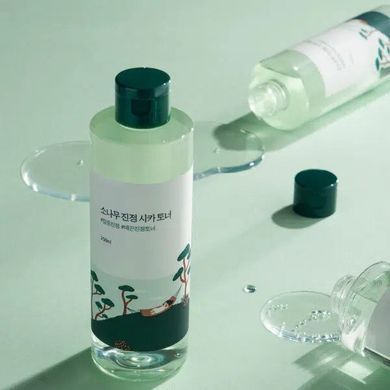 ROUND LAB Pine Calming Cica Toner &ndash; заспокійливий тонер з екстрактом голок сосни