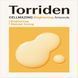Torriden &ndash; пробник