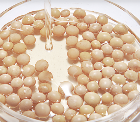 MIXSOON Bean Cream – зволожуючий крем з соєвими бобами