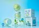 Tocobo Mint Cooling Lip Mask &ndash; м'ятна маска для губ 3 з 6